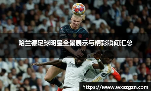 乐动LDSports官网