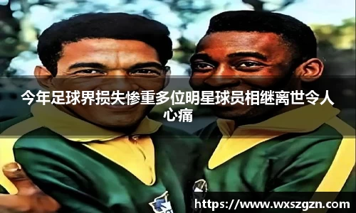 今年足球界损失惨重多位明星球员相继离世令人心痛