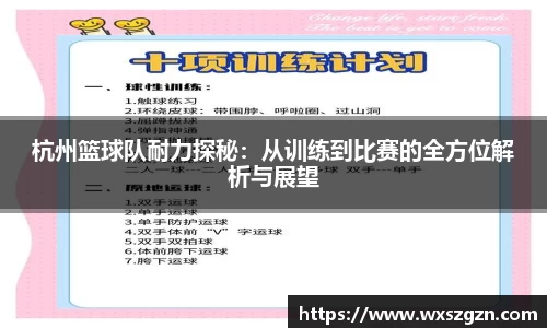 杭州篮球队耐力探秘：从训练到比赛的全方位解析与展望