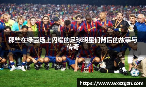 那些在绿茵场上闪耀的足球明星们背后的故事与传奇