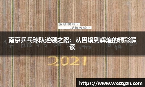 南京乒乓球队逆袭之路：从困境到辉煌的精彩解读